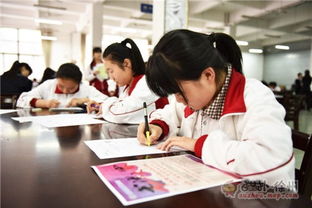 筆墨傳承，青春飛揚——2016彭城書法大賽海選第三站走進徐州高級中學